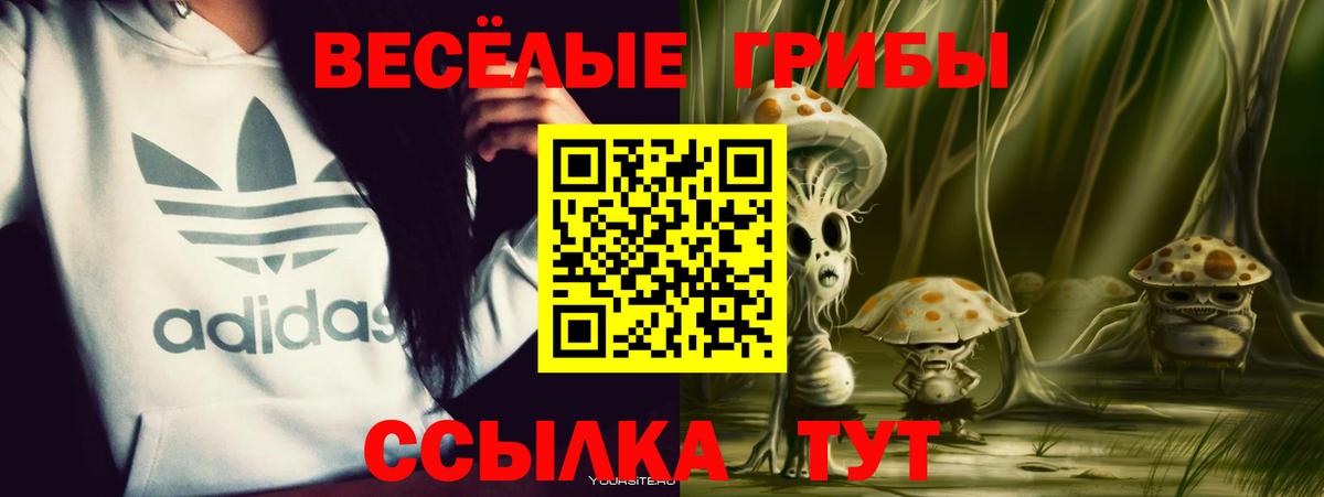 Великий Новгород  Псилоцибиновые грибы прущие грибы  Вход с VPN 